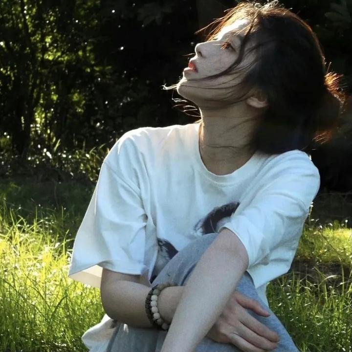 飞燕金枪